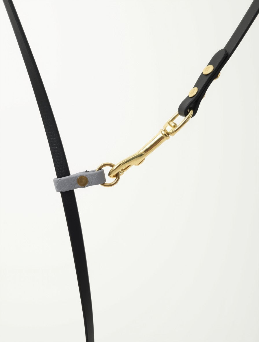 Multi+ Leash: 4.2m