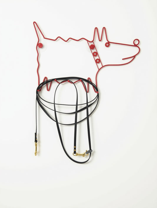 Multi+ Leash: 4.2m