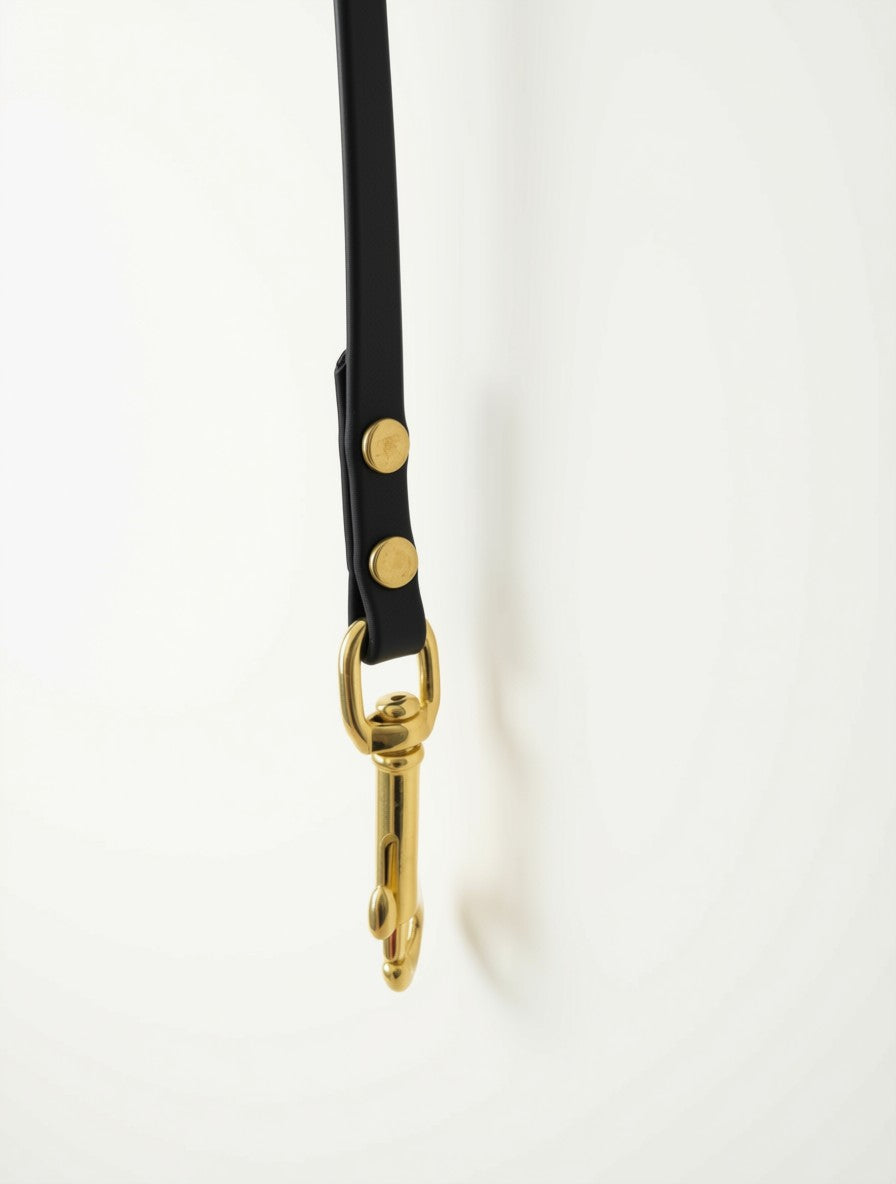 Multi+ Leash: 4.2m