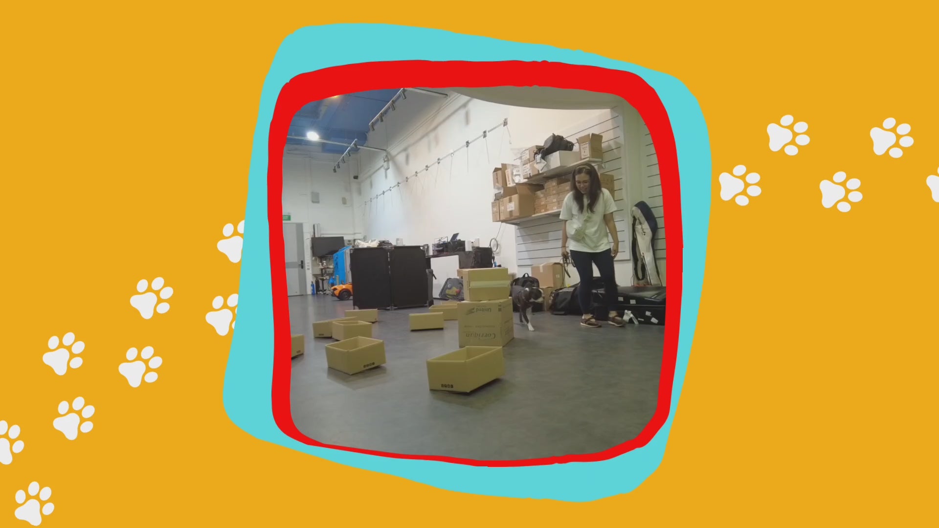 Load video: 